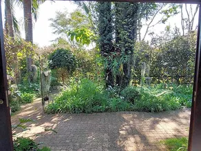 Palmetta Cottage - Image 3