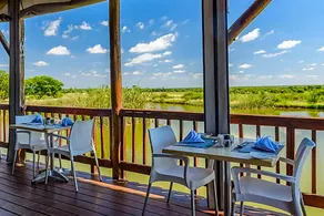 Mongena Private Game Lodge - Image 2