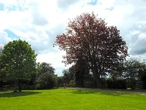 Old Rectory - Image 4