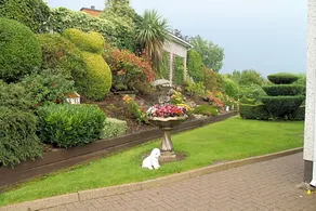 The Meadows B&B - Image 5