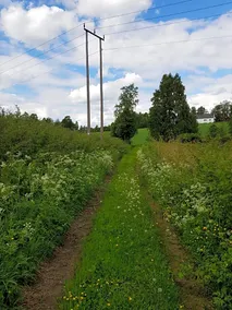 Pilegrimsherberge InnomHaug - Image 4