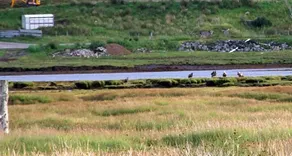 Trien Lodge - Image 2