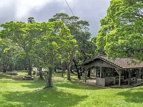 Oppadake Forest Park Camp and Bungalows - Image 5