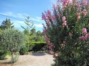 la Mésange Bleue du VERDON - Image 2