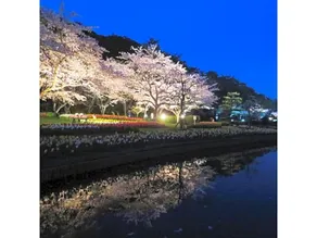 Kanzanji Sago Royal Hotel - Vacation Stay 43402V - Image 2