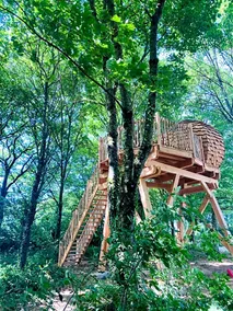 Lejardinzenduquistillic - Image 3