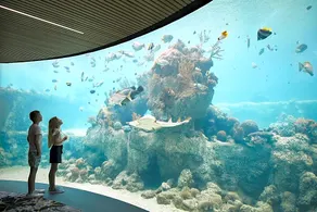 Daydream Island Resort - Image 3