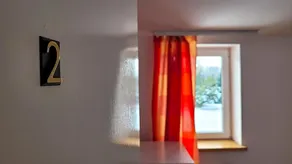 Felix - Image 3