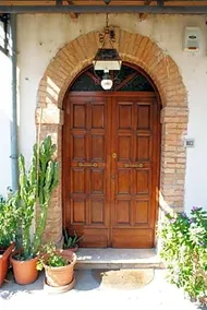 Il Cactus - Image 2