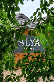 Alya Kartepe Villa Hotel - Image 2