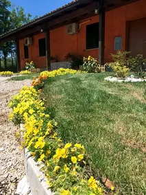 B&B Il Girasole - Image 3