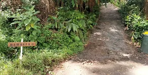 Rahasia Rainforest Retreat - Image 2
