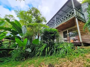 Rahasia Rainforest Retreat - Image 5