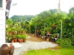 Guest House HIBISCUS - Image 5