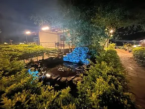 peacevalleyresort - Image 4