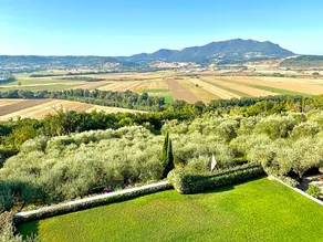 La Torre Degli Ulivi - Image 2