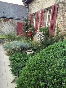 Chambre D'hôtes Jukie - Image 4