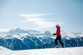 Abis Dolomites - Image 4