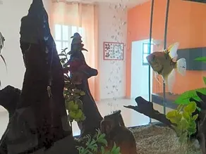 Il casale di zi'leo - Image 4