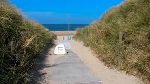 Vitamin Sea - Image 4