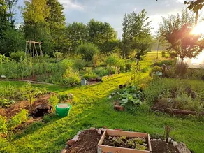 Le jardin des gouttes - Image 5
