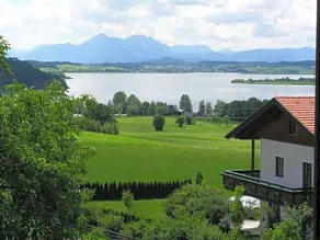 Pension Lauterbacher am Wallersee - Image 5