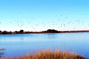 Albergue Los Patos - Image 5