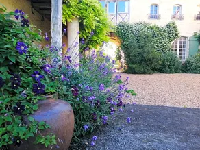 Chateau de Puissentut - Image 3