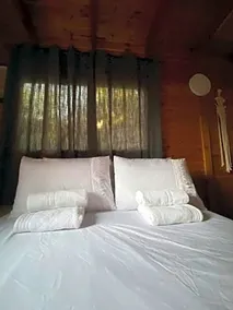 Michal & Tomer's place - Image 4