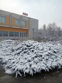 Хотел Оренда - Image 2