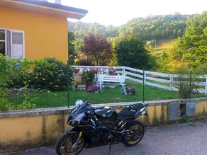 Il Rovo di More - Image 2
