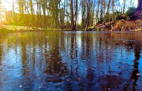 Paradiso Park - Image 5