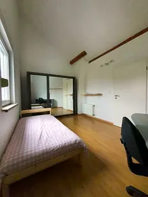 Vivacity - Image 2