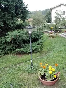 Da Fulvia - Image 5