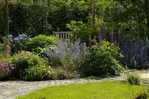 De Zonnehoed - Image 5