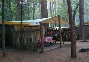 Housekeeping Camp - Image 4