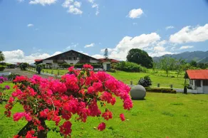 Hotel Los Heroes - Image 5