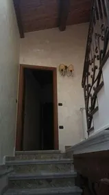 Le Viole d'Oro - Image 2