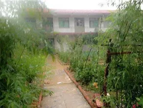 Muyi Farm Stay - Image 5