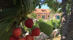Villa Mia - Image 3
