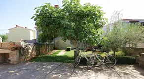 Apartments Pepca - Image 4