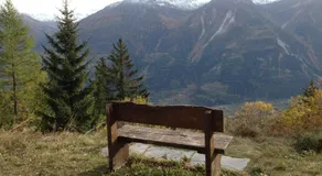 Albina 32 - Image 5