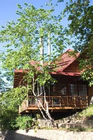 Monarch Resort - Image 5