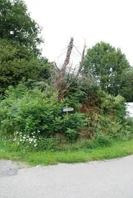 Tanchereau - Image 3