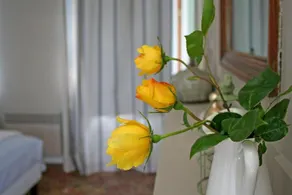 Le Petit Manoir De La Vernelle B&B - Image 5
