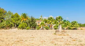 Finca SOLLERICH - Image 2