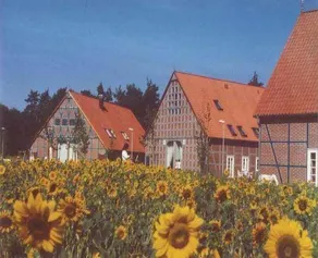 Hotel Rundlingsdorf Sagasfeld - Image 2