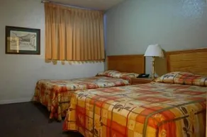 Apolo Dorado HOTEL - Image 5