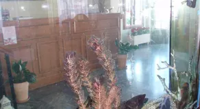 Hotel Eleni - Image 2