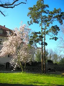 Gartenzimmer im Schloss Neuhausen - Image 4
